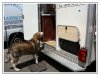 5/IMG_1213 kim.jpg